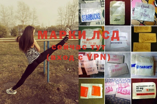 гашик Богородск
